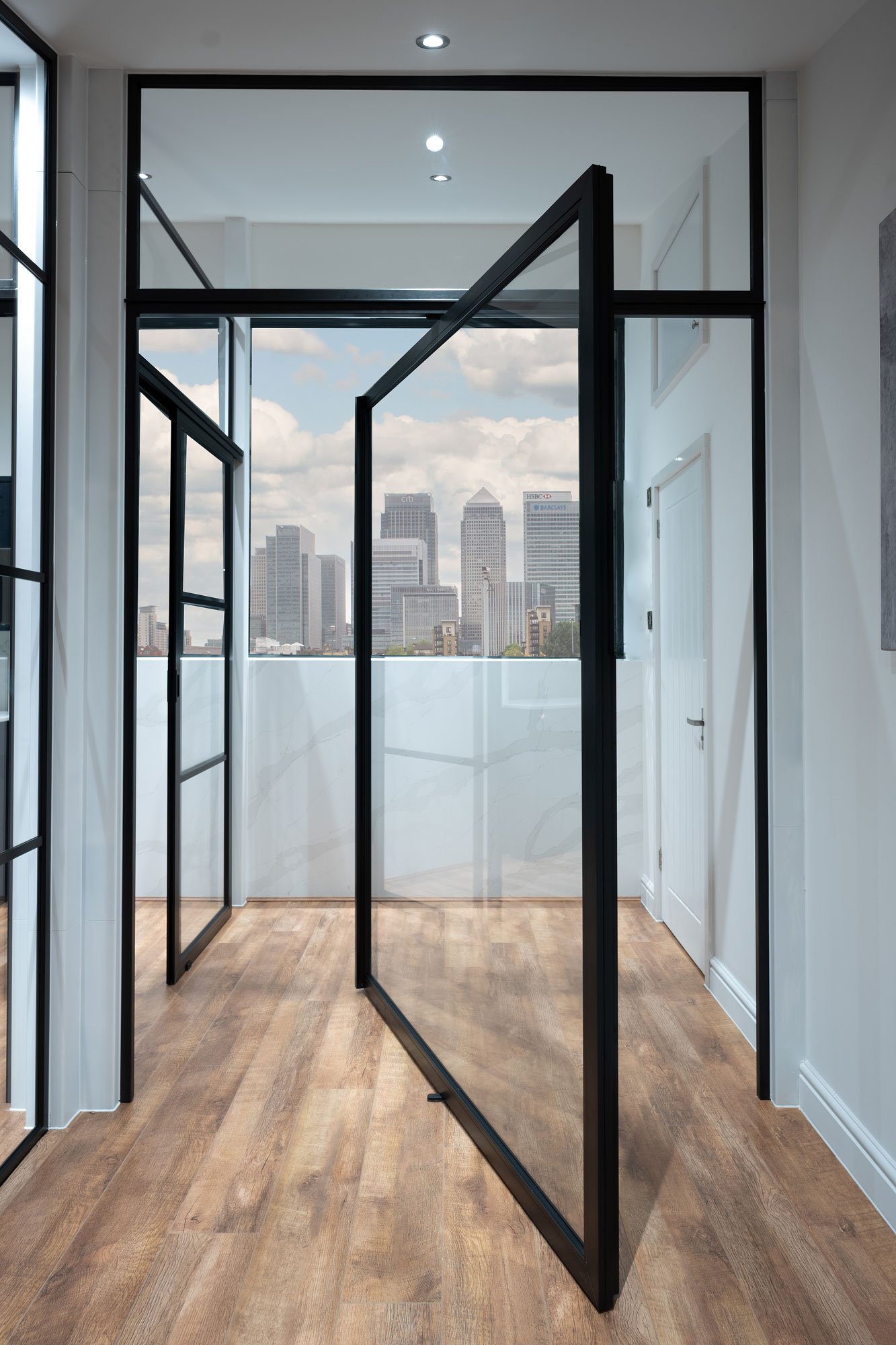 Internal Aluminium Pivot Door